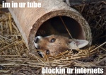 post
